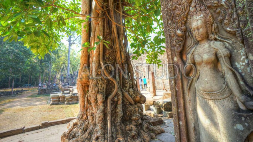 バイヨン寺院 デバター（女神像） Angkor Thom Bayon Devata