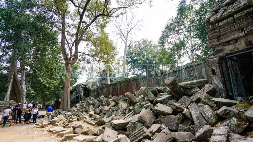 タ・プローム 樹木に破壊された石壁