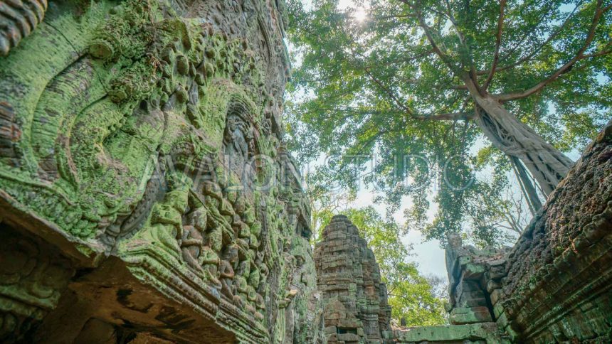 タ・プローム 樹木と一体化する寺院