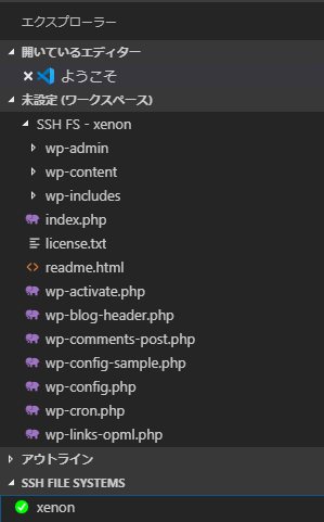 VSCode SSH サーバー上のファイル一覧
