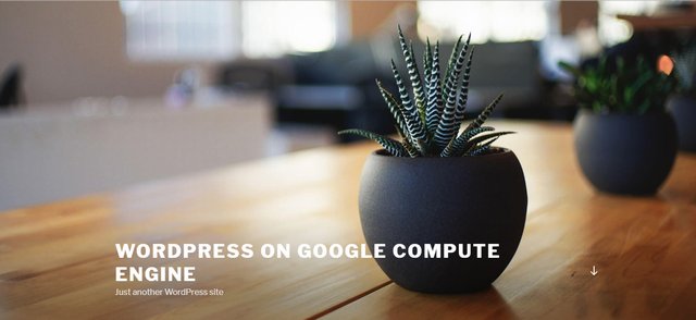 GCP インストール直後のWordpress画面